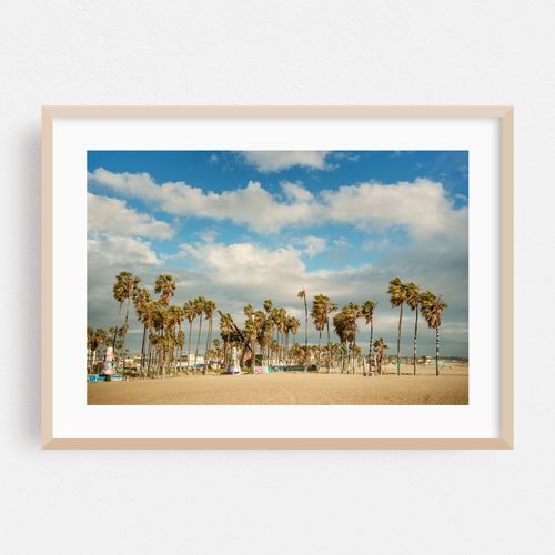 Palms on Venice Beach, Los Angeles