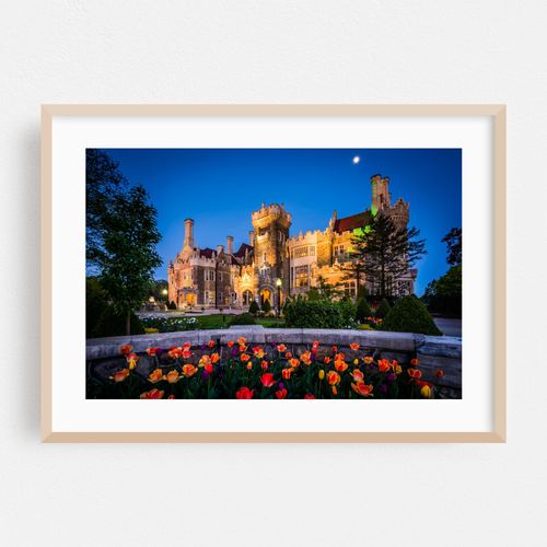 Tulips & Casa Loma