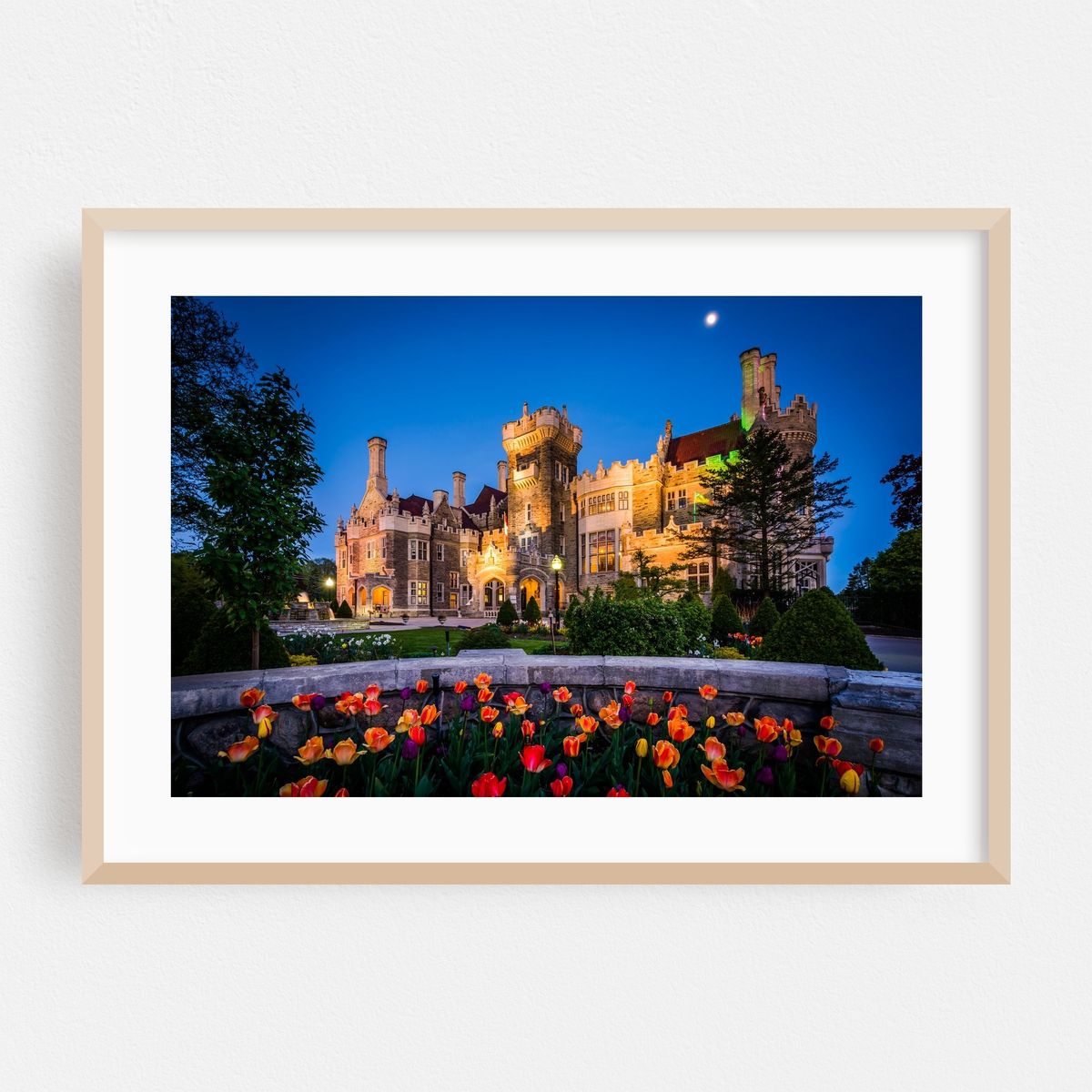 Tulips & Casa Loma – image 1 of 6