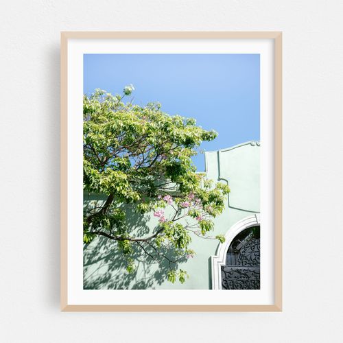Shades of Green Oaxaca II