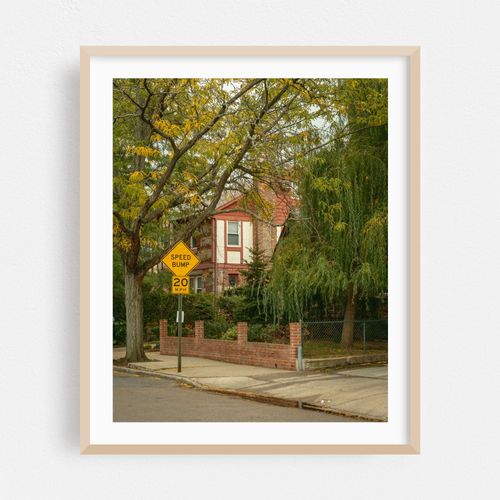Rego Park Foliage