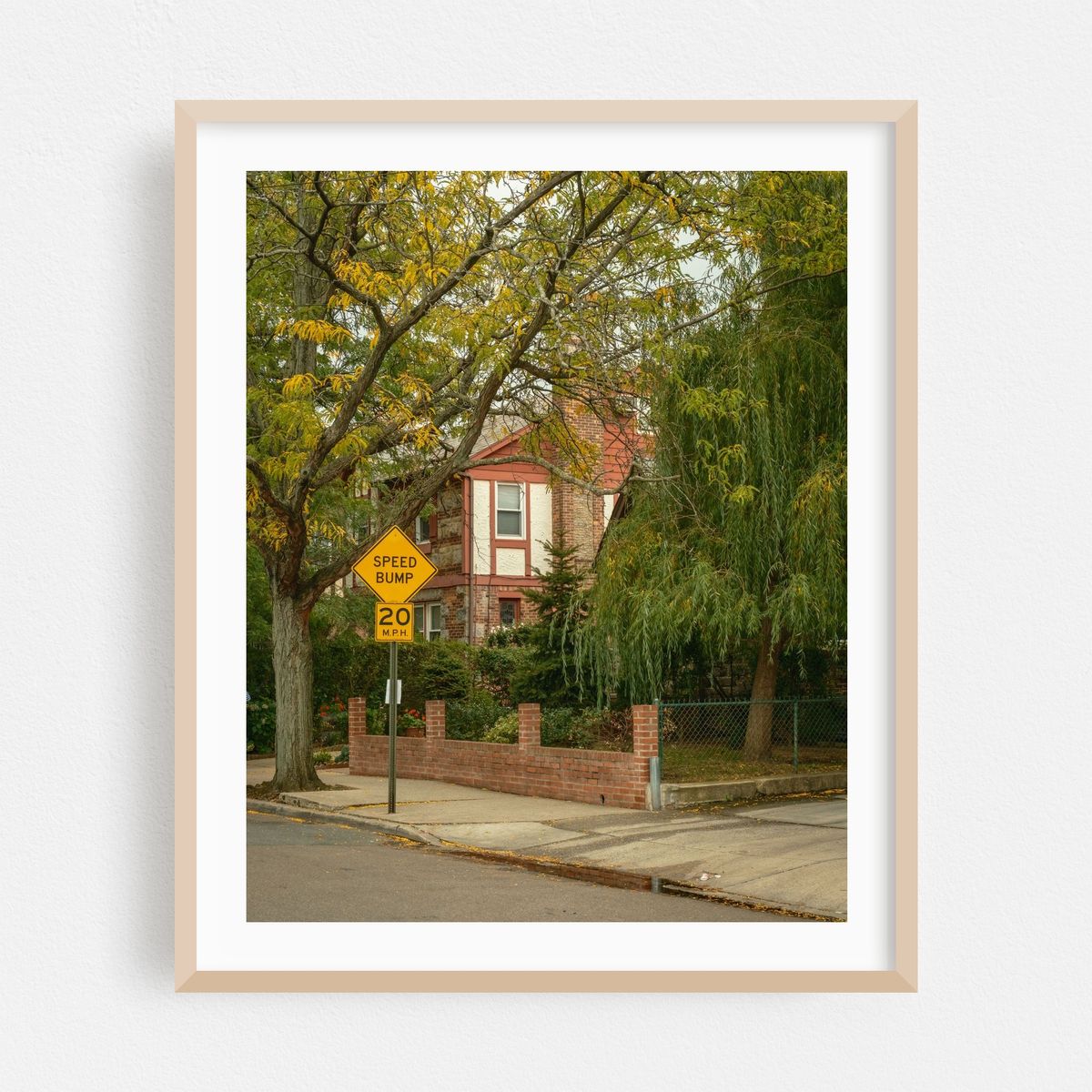 Rego Park Foliage – image 1 of 12