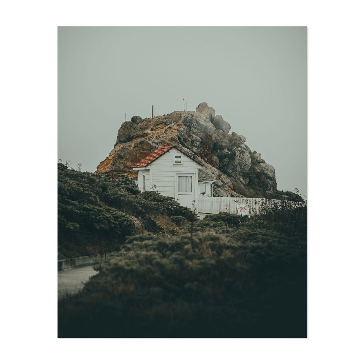 Point Reyes 08 - 2026 – image 1 of 2