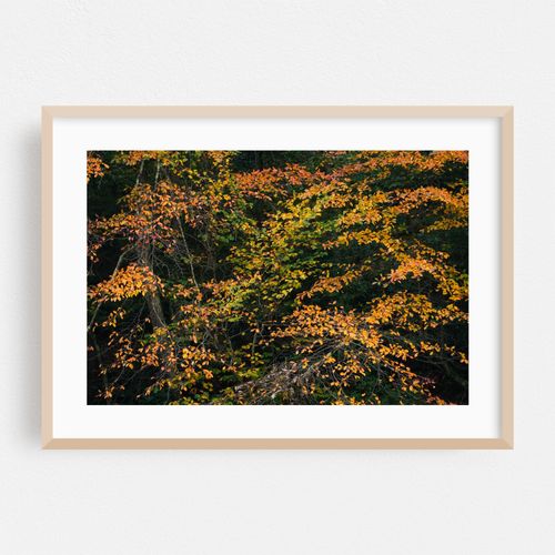 Minnewaska Autumn 02