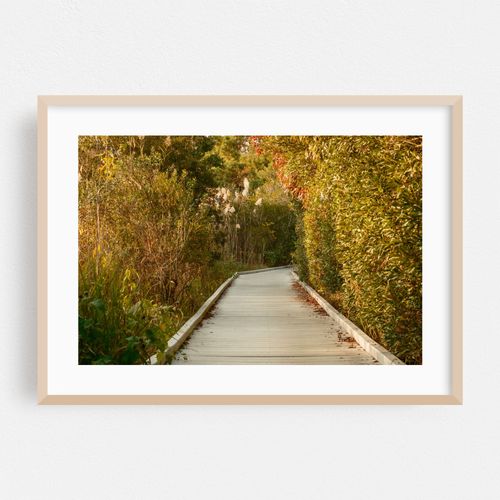 Boardwalk at Cape May Point