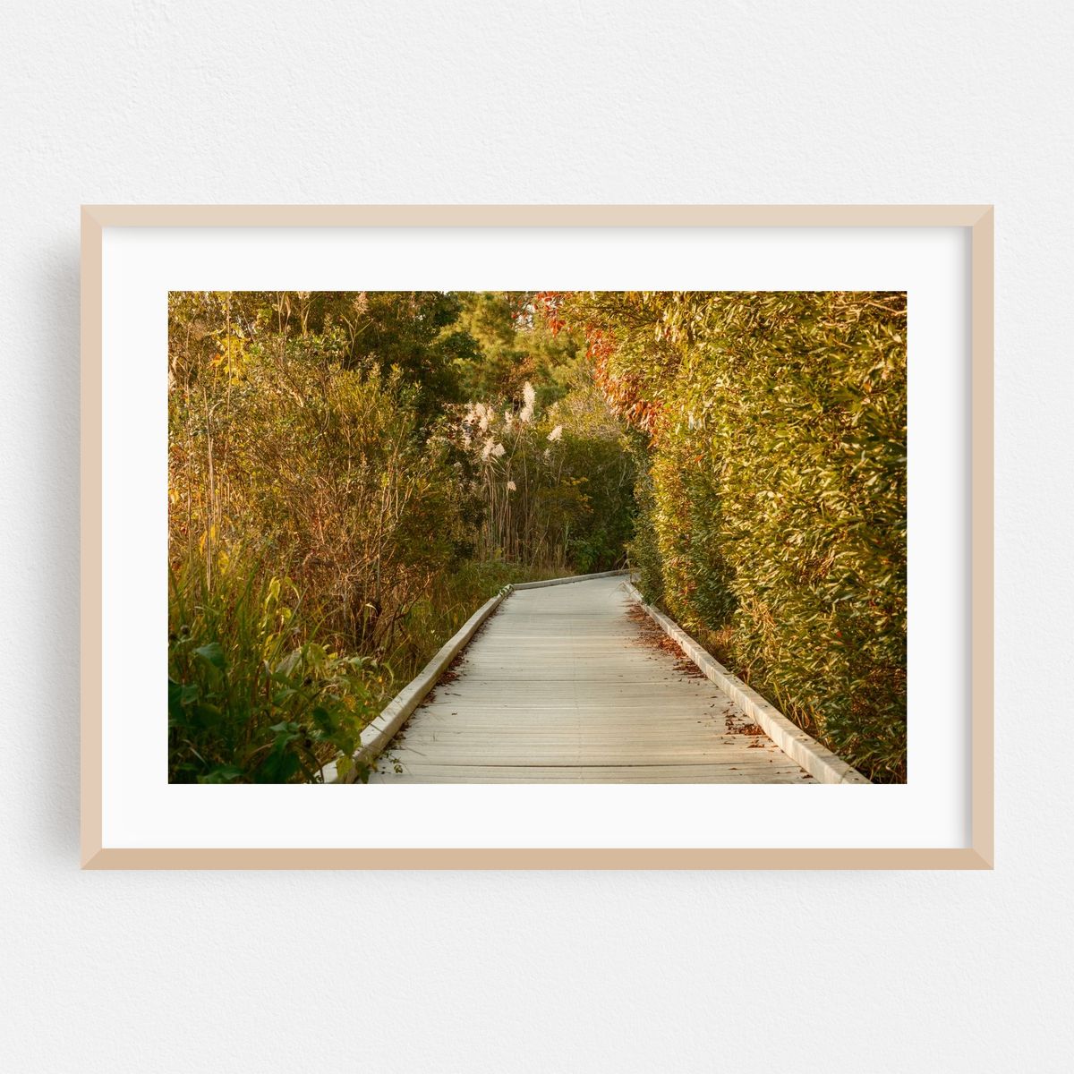 Boardwalk at Cape May Point – image 1 of 6
