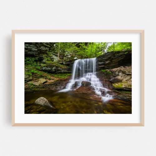B. Reynold's Falls