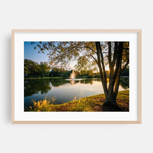 Roosevelt Wilson Park Reflections