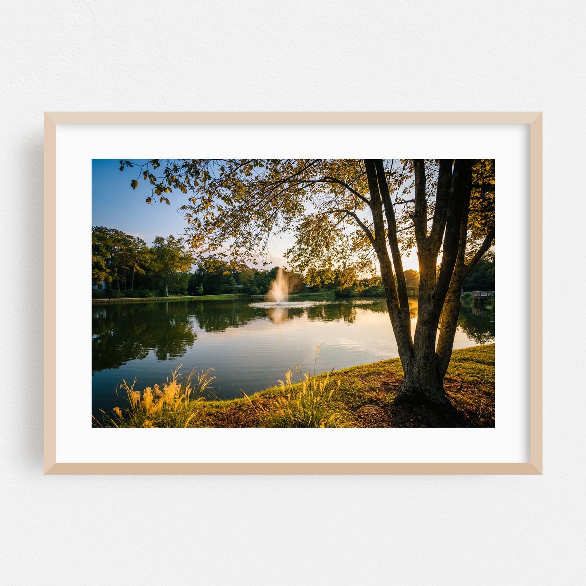 Roosevelt Wilson Park Reflections – image 1 of 6