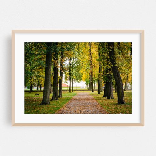 Early Autumn at Kadrioru Park