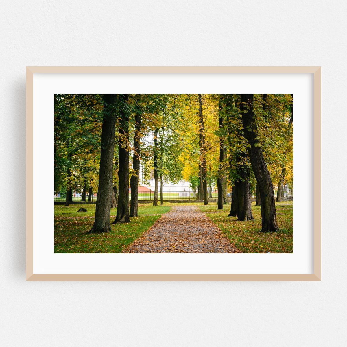 Early Autumn at Kadrioru Park – image 1 of 6