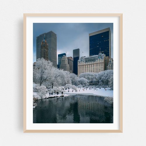 The Pond, Central Park 02