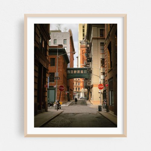 Staple Street Skybridge, Tribeca 01