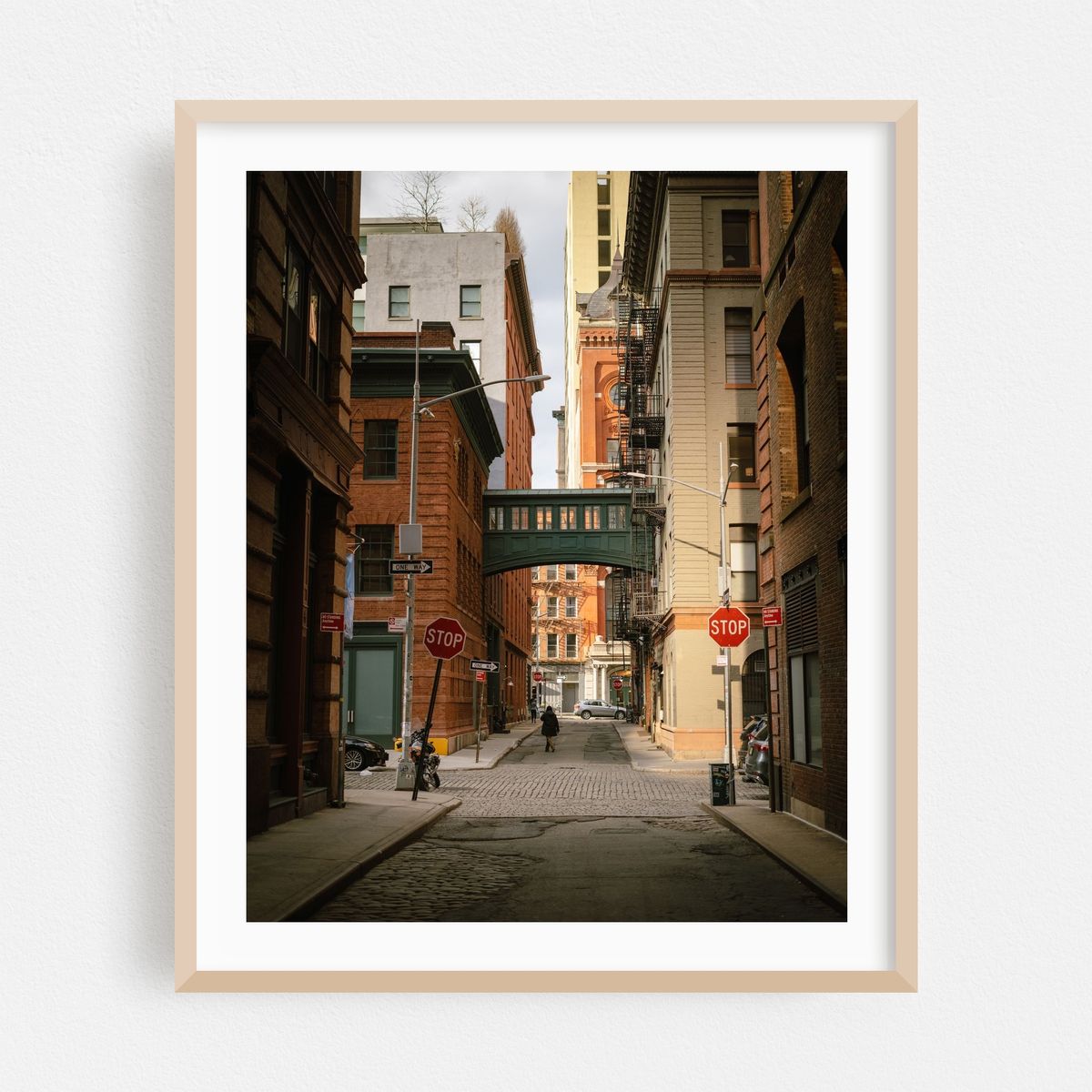 Staple Street Skybridge, Tribeca 01 – image 1 of 12