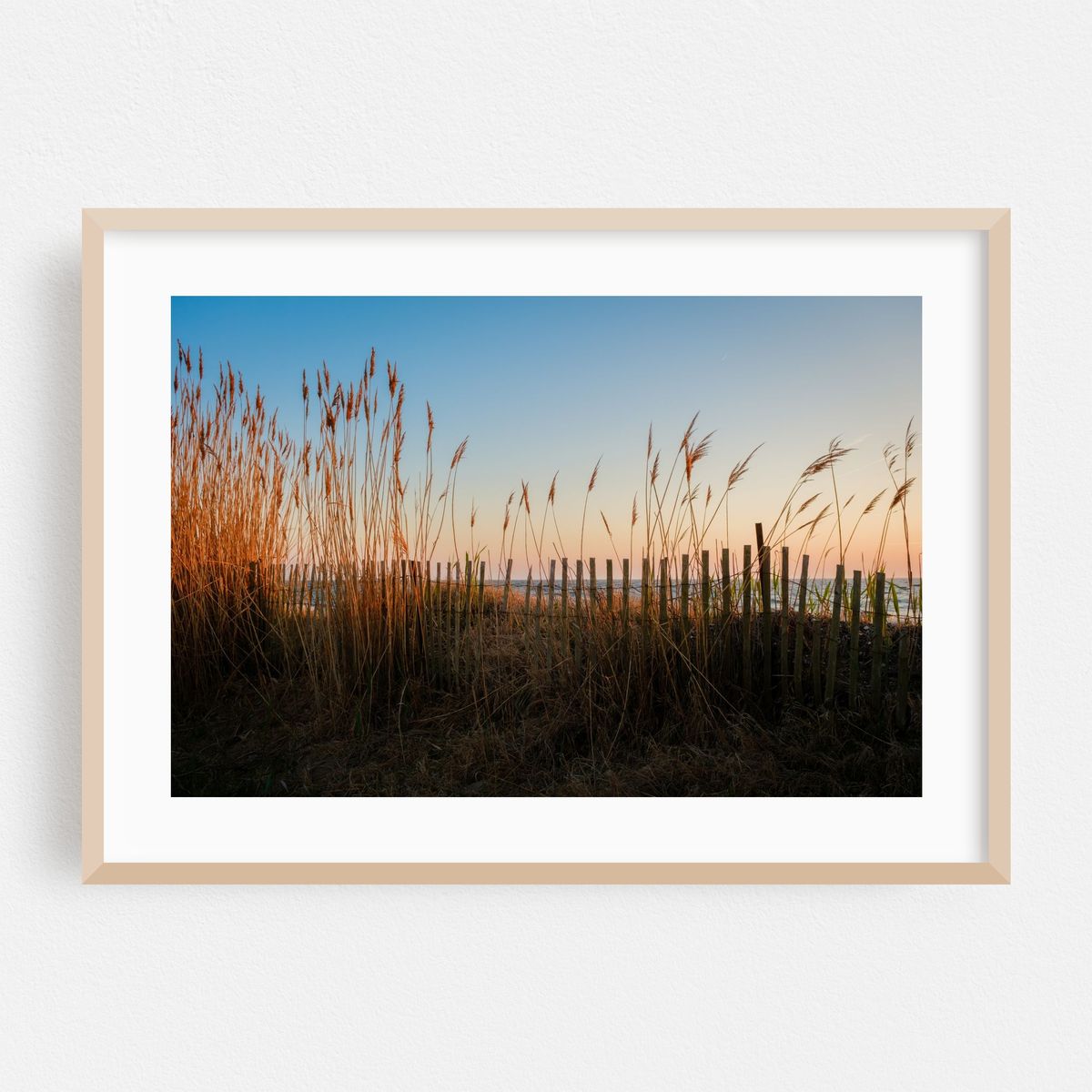 Delaware Bay Dunes – image 1 of 6