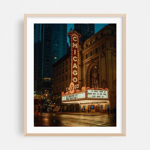 The Chicago Theatre 01
