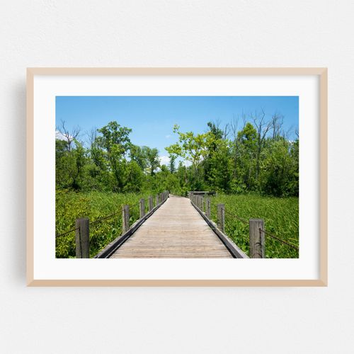 Mount Vernon Trail, Alexandria 02