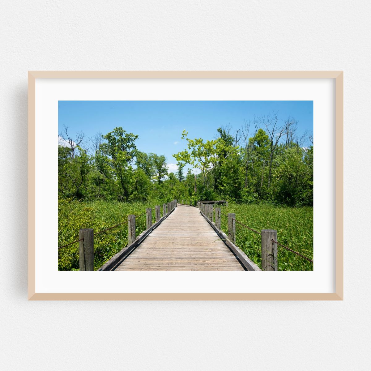 Mount Vernon Trail, Alexandria 02 – image 1 of 6