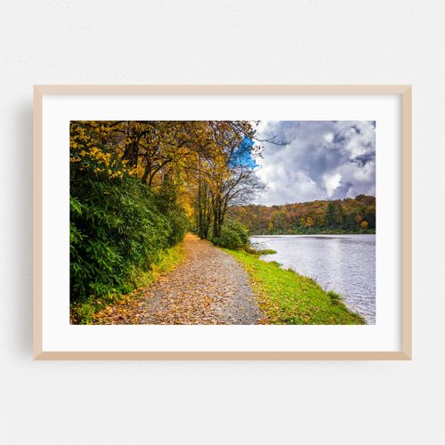Trout Lake