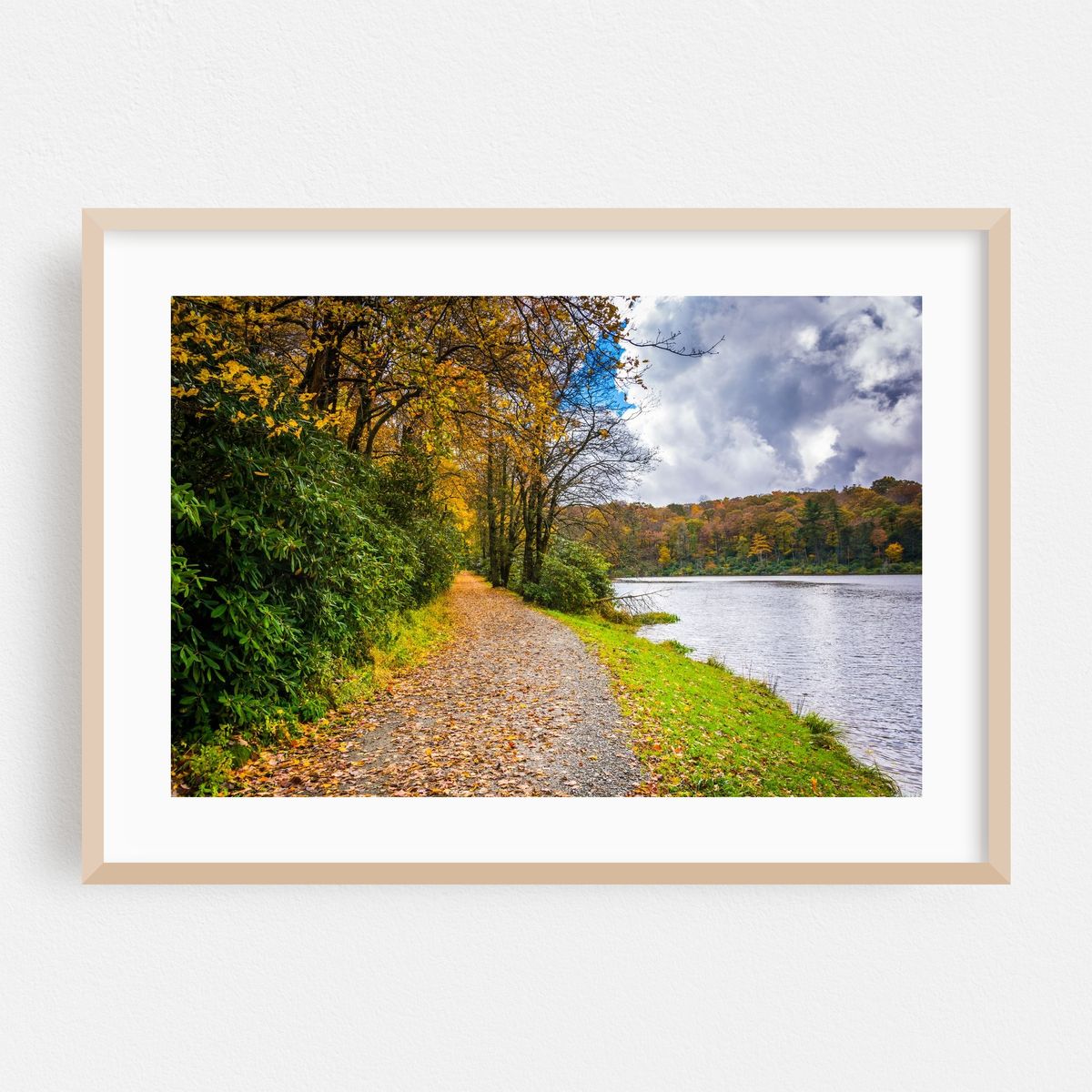 Trout Lake – image 1 of 6