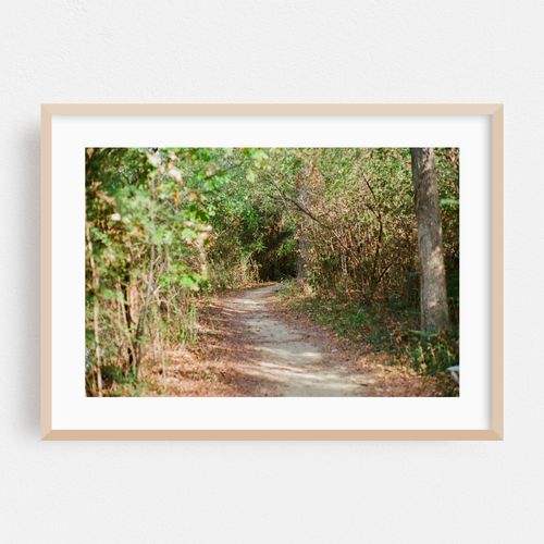 Trail Path