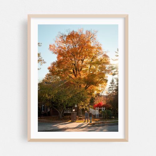 Autumn in East Aurora