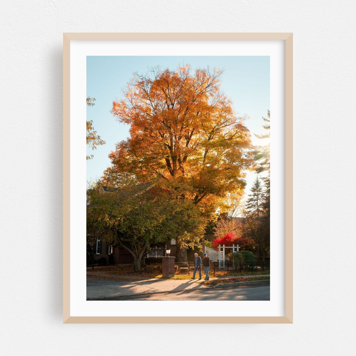 Autumn in East Aurora – image 1 of 3