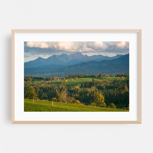 Suche Views 02
