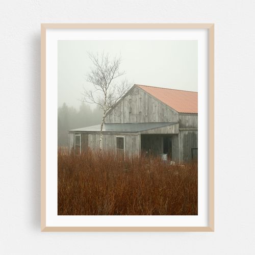 Barn in Fog, Beals Island 02