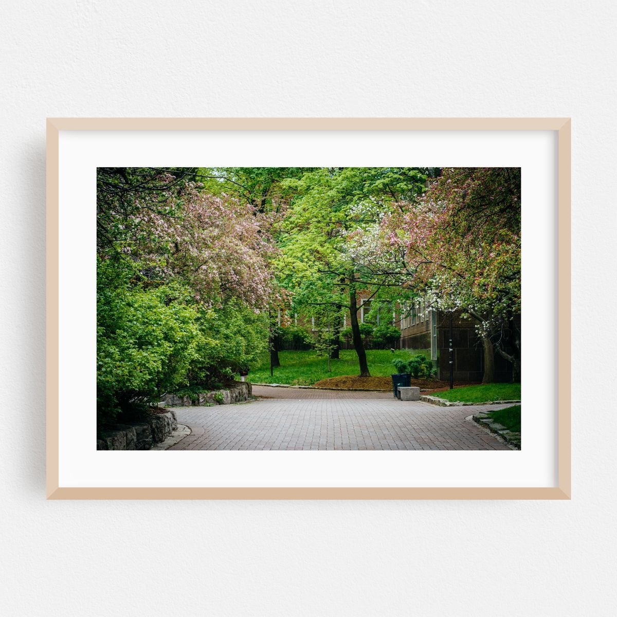 Blossom – image 1 of 6