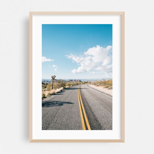 Joshua Tree Road 01