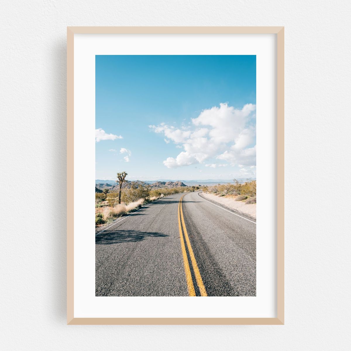 Joshua Tree Road 01 – image 1 of 16