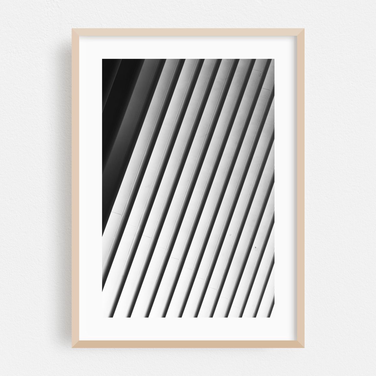 Oculus 06 – image 1 of 16