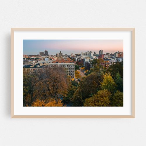 Morningside Autumn 03