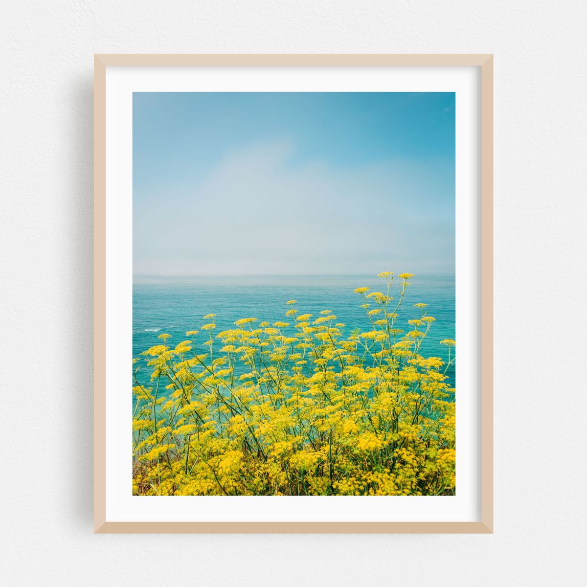 Yellow Flowers, Big Sur 01 – image 1 of 12