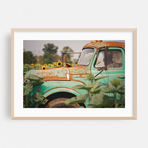 Sunflower Truck 3