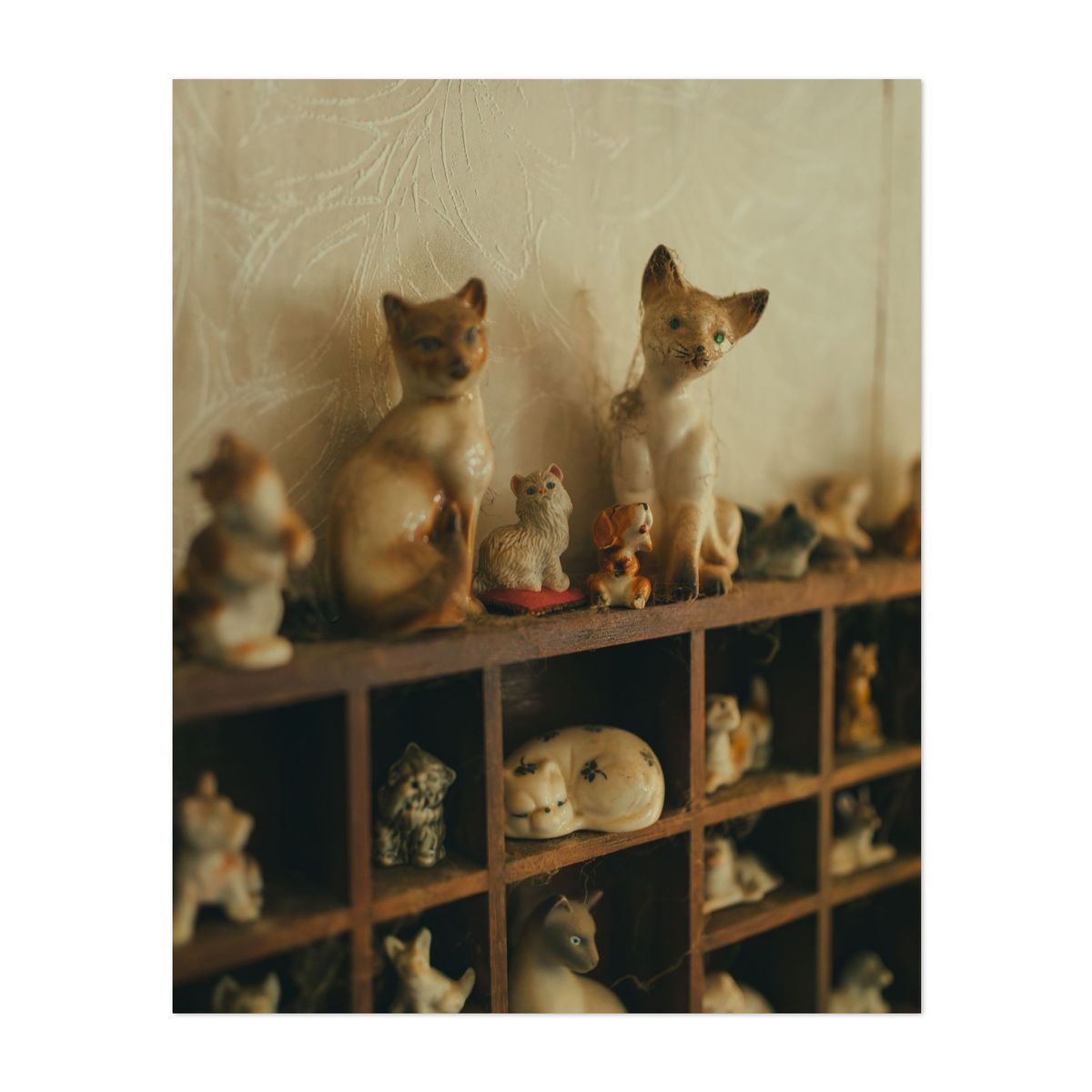 August Evening House 03 – image 1 of 2