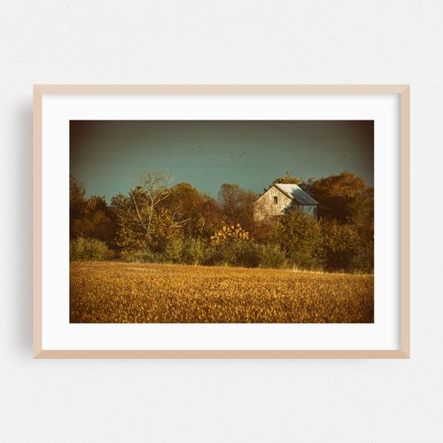 Abandoned Barn In The Trees -Aged Colorized Rustic Landscape Photograph