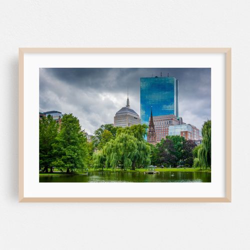 Skyscrapers at the Public Garden