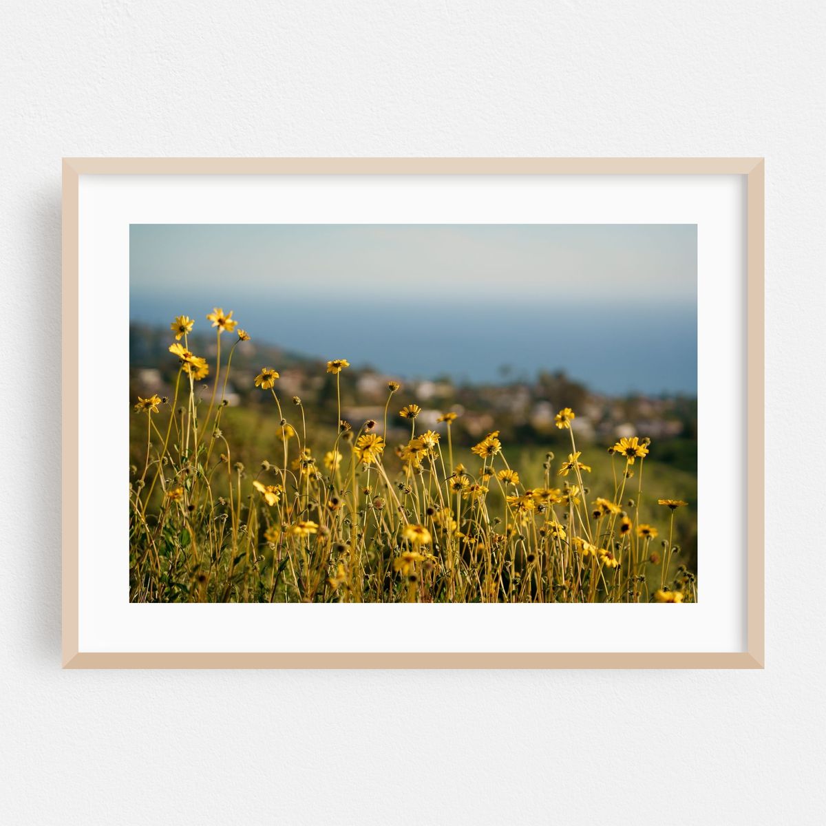 Blooms, Laguna Beach – image 1 of 6