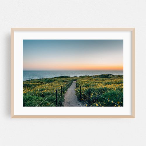 Headlands Path 02