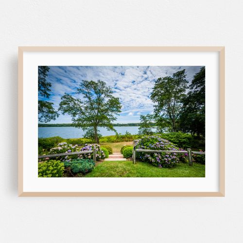 Gardens and Town Cove