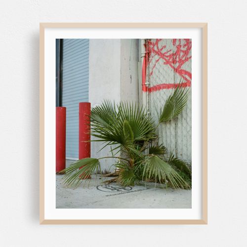urban growth