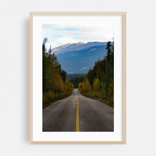 Road to nowhere