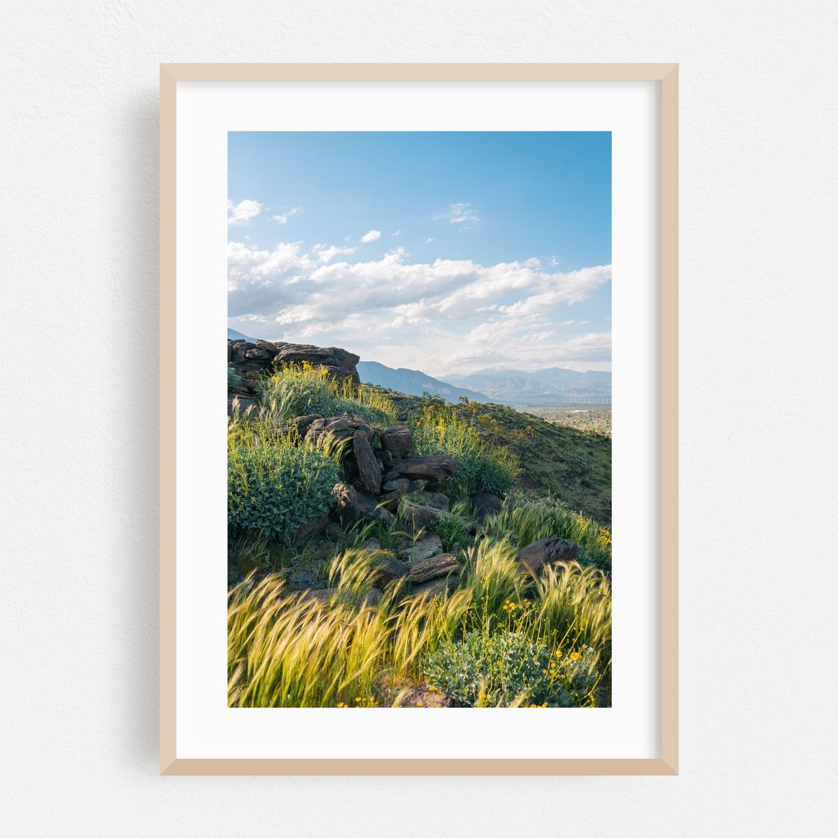 Along Araby Trail – image 1 of 16