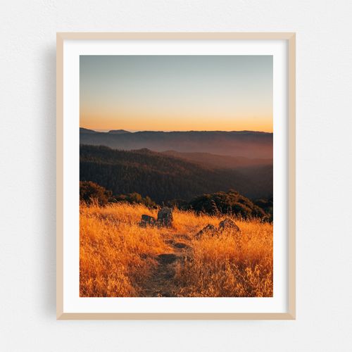 Hickory Oaks Trail Sunset 01