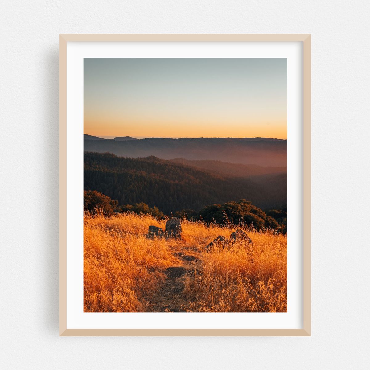 Hickory Oaks Trail Sunset 01 – image 1 of 12