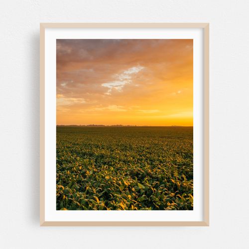 Towanda Sunrise 04