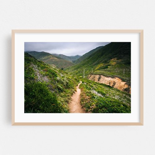 Garrapata Mountain Views