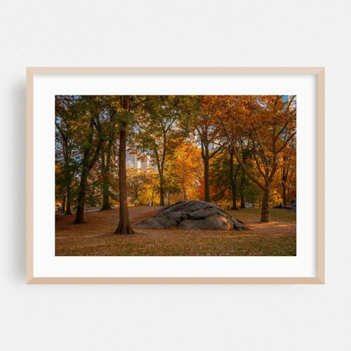 Autumn in Central Park, New York